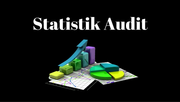 statistik audit