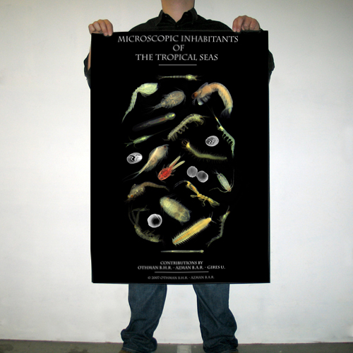 Microscopic inhabitants