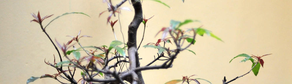 Nutrition and Health Research Group (NHG)