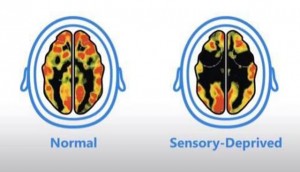 Sensory brain