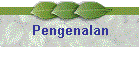 Pengenalan