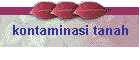 kontaminasi tanah