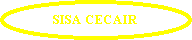 Oval: SISA CECAIR
