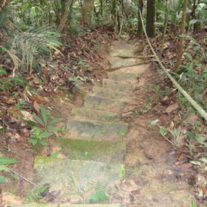 PAKEJ 1: EKSPLORASI ETNOBOTANI (3 JAM) <br><a class="btn btn-info btn-sm" href="#link-popup-ppbf1" role="button">Lihat Harga</a>