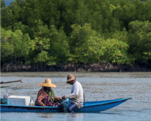 PAKEJ 2: KELESTARIAN TERNAKAN KETAM NIPAH (4 JAM) <br><a class="btn btn-info btn-sm" href="#link-popup-ppl2" role="button">Lihat Harga</a>