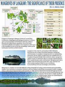 Mangroves of Langkawi