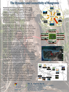 The Significance of Langkawi Mangroves