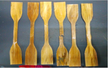 PP/Unidirectional Kenaf