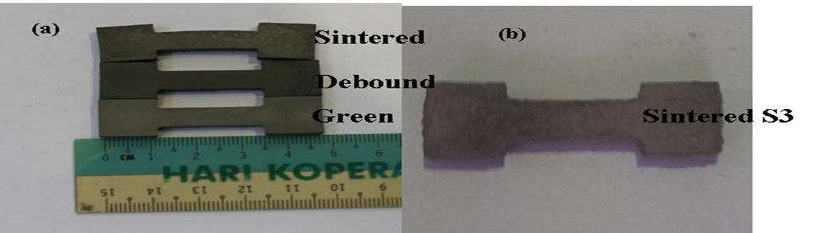 Porous Titanium/Hydroxyapatite (Ti/HA)