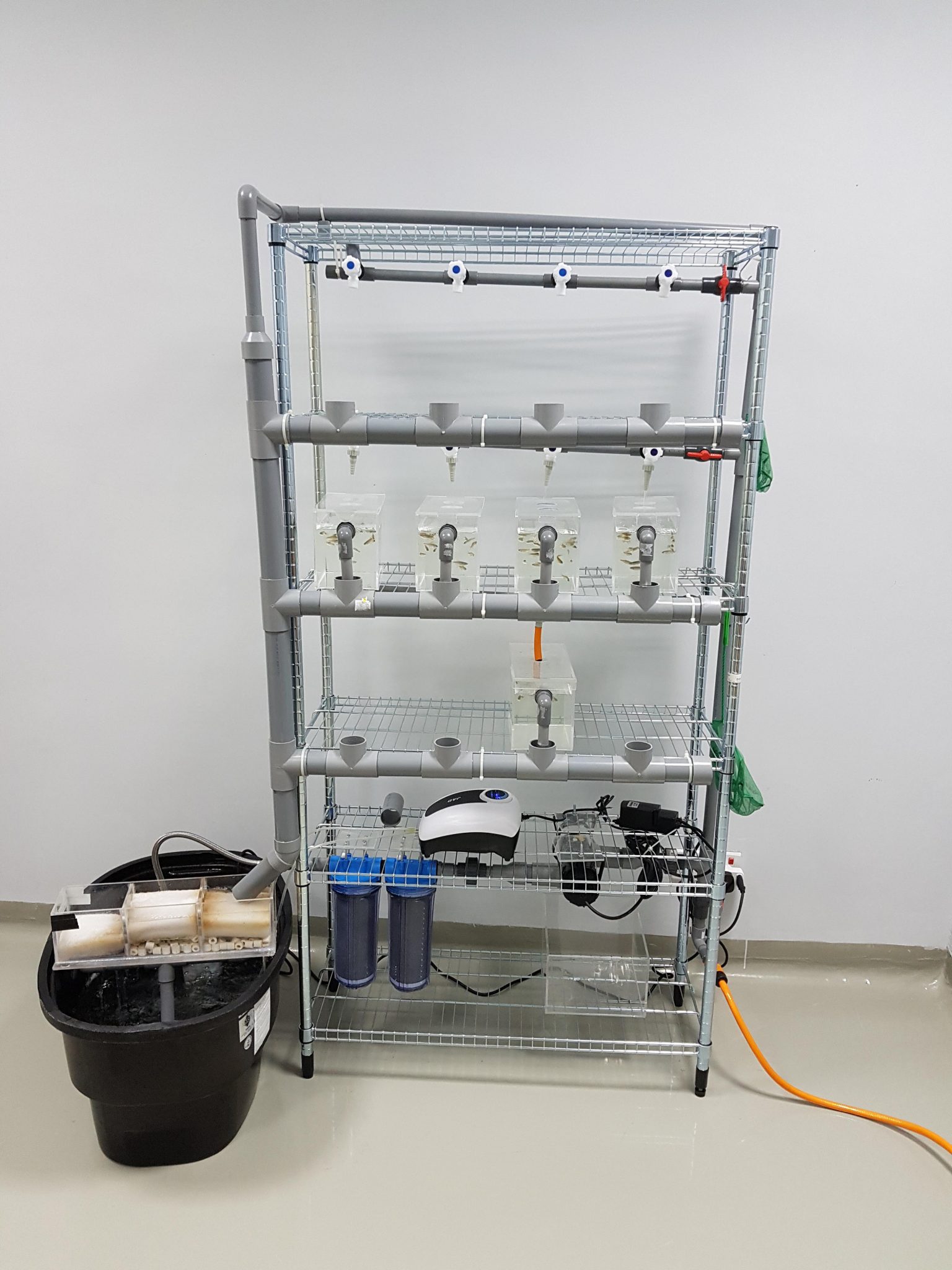 Zebrafish Lab Jabatan Anatomi Fakulti Perubatan