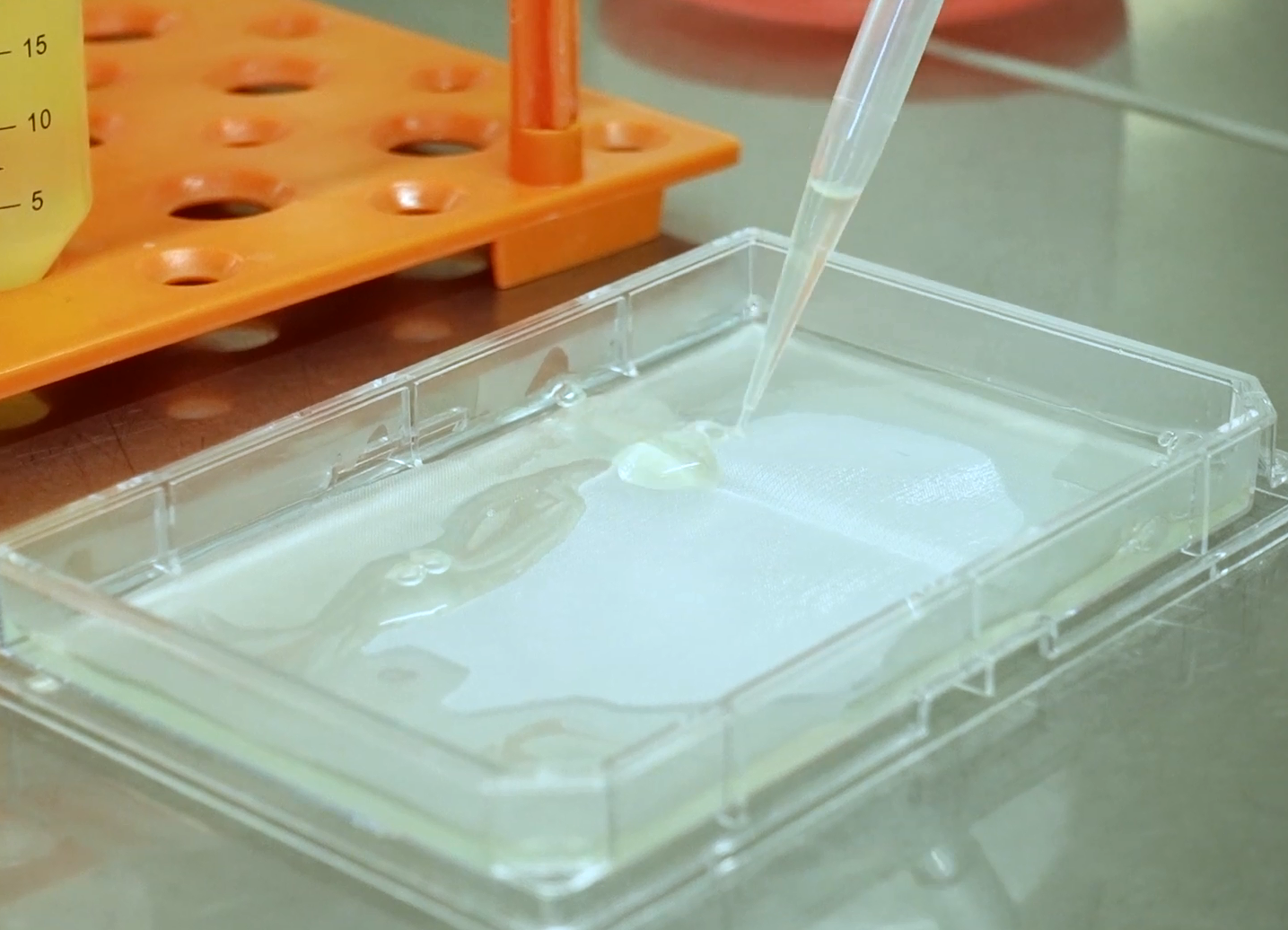 Background · Department of Tissue Engineering and Regenerative Medicine