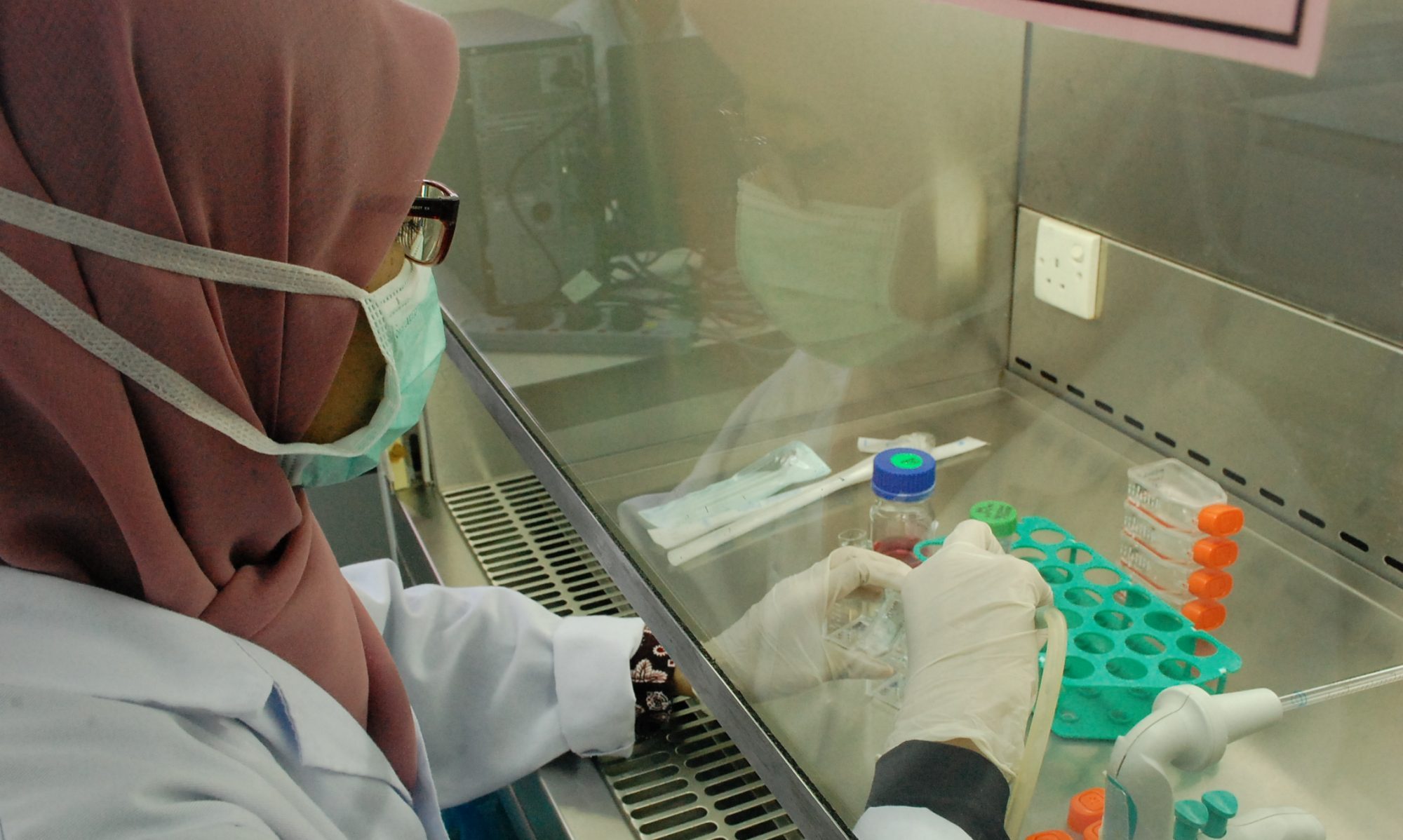 Background · Department of Tissue Engineering and Regenerative Medicine