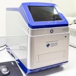 WhatsApp Image 2025-05-21 at 12.13.38 PM