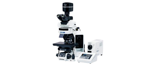 650x279p325x140-removebg-preview