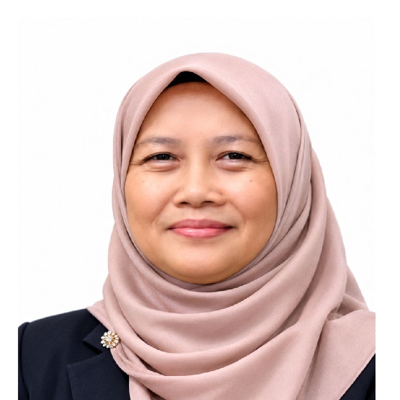 Professor Dr. Aini Aman