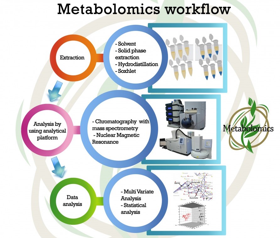 research on plant metabolomics