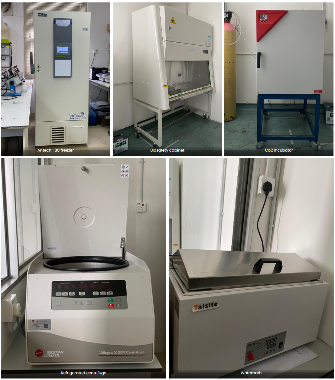 Cell Culture Lab | Institut Biologi Sistem