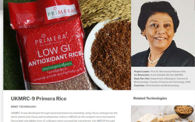 UKMRC-9 Primera Rice