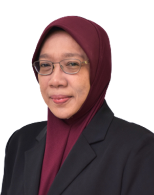 Prof. Dr. Roslinda Mohd Nazar : Professor