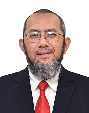 Prof. Dr. Zaidi Isa : Professor