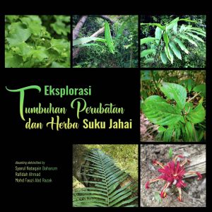 Eksplorasi Tumbuhan Perubatan dan Herba Suku Jahai