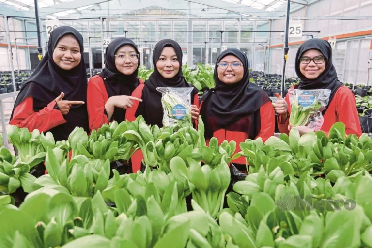 Students Harvest Agricultural Produce