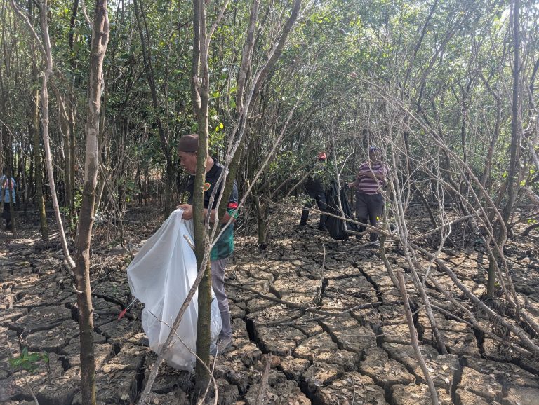 The Kuala Sala Coastal Cleanup Program