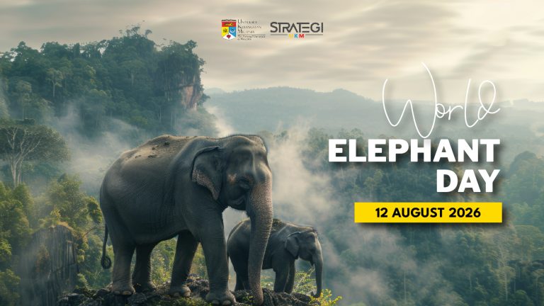 World Elephant Day 2026