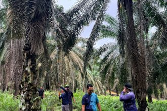 Memperkasa Data Karbon: Penilaian Stok Karbon di Ladang Stesen Penyelidikan MPOB, Kluang, Johor