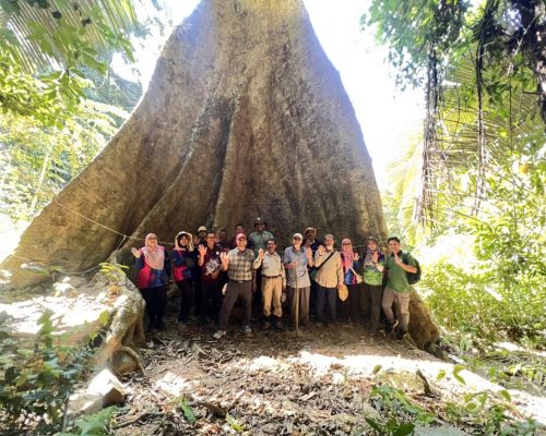 Merangka Kerja untuk Pengurusan Hutan Negeri Kedah