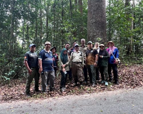 Kajian Lapangan dan Penelitian Ekosistem Hutan Negeri Kedah