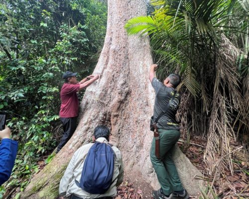 Kajian Lapangan dan Penelitian Ekosistem Hutan Negeri Kedah
