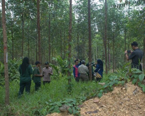 Kajian Lapangan Impak Pembangunan Ladang Hutan Terhadap Alam Sekitar di HSK Jerangau, Terengganu
