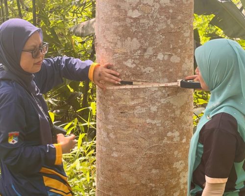 Kajian Lapangan Impak Pembangunan Ladang Hutan Terhadap Alam Sekitar di HSK Jerangau, Terengganu