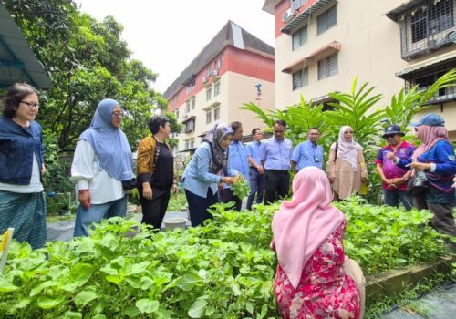 Penuaan Aktif dan Mesra Usia: Inventori Inisiatif, Kemudahan dan Amalan Terbaik