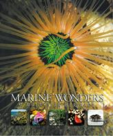 Marine Wonders: A Malaysian Heritage