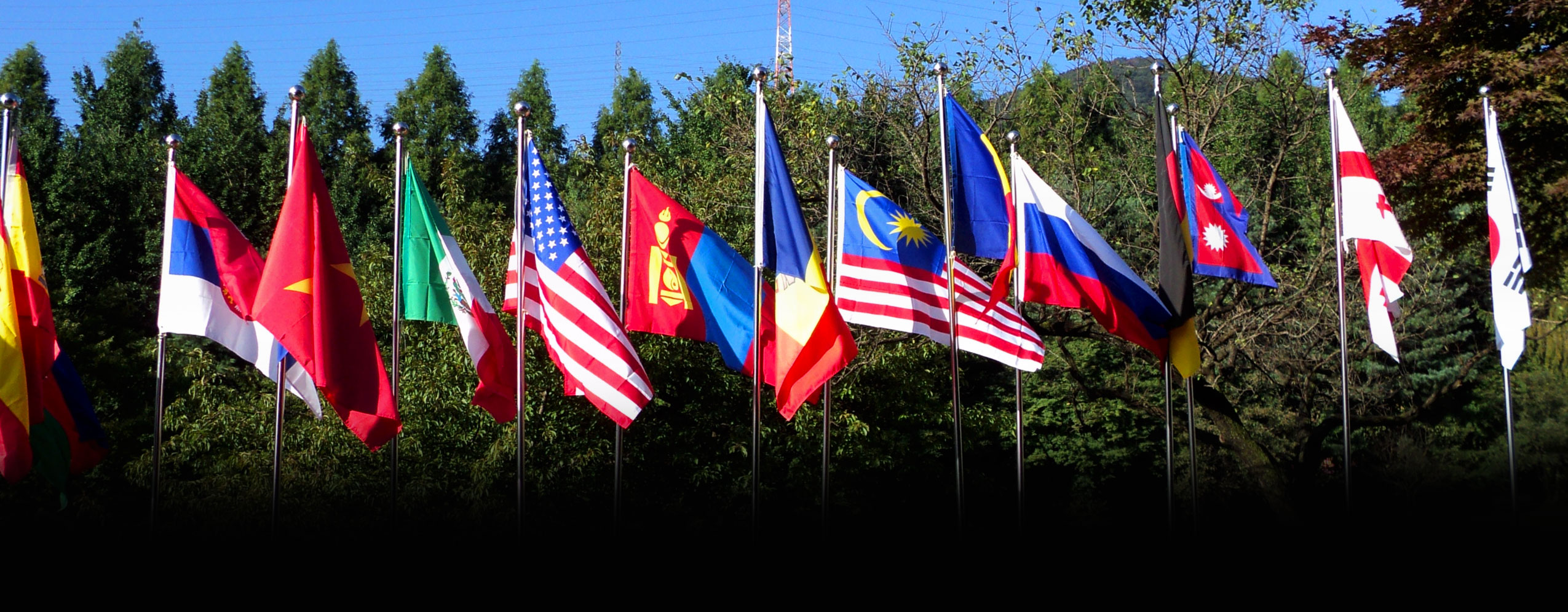 GAP merupakan pusat termasyur di Malaysia dalam pengajian sejarah, sains politik dan hubungan antarabangsa.
