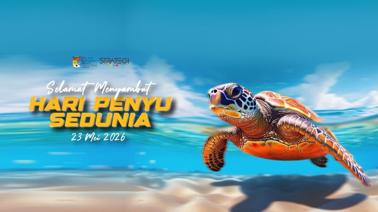 Selamat Menyambut Hari Penyu Sedunia