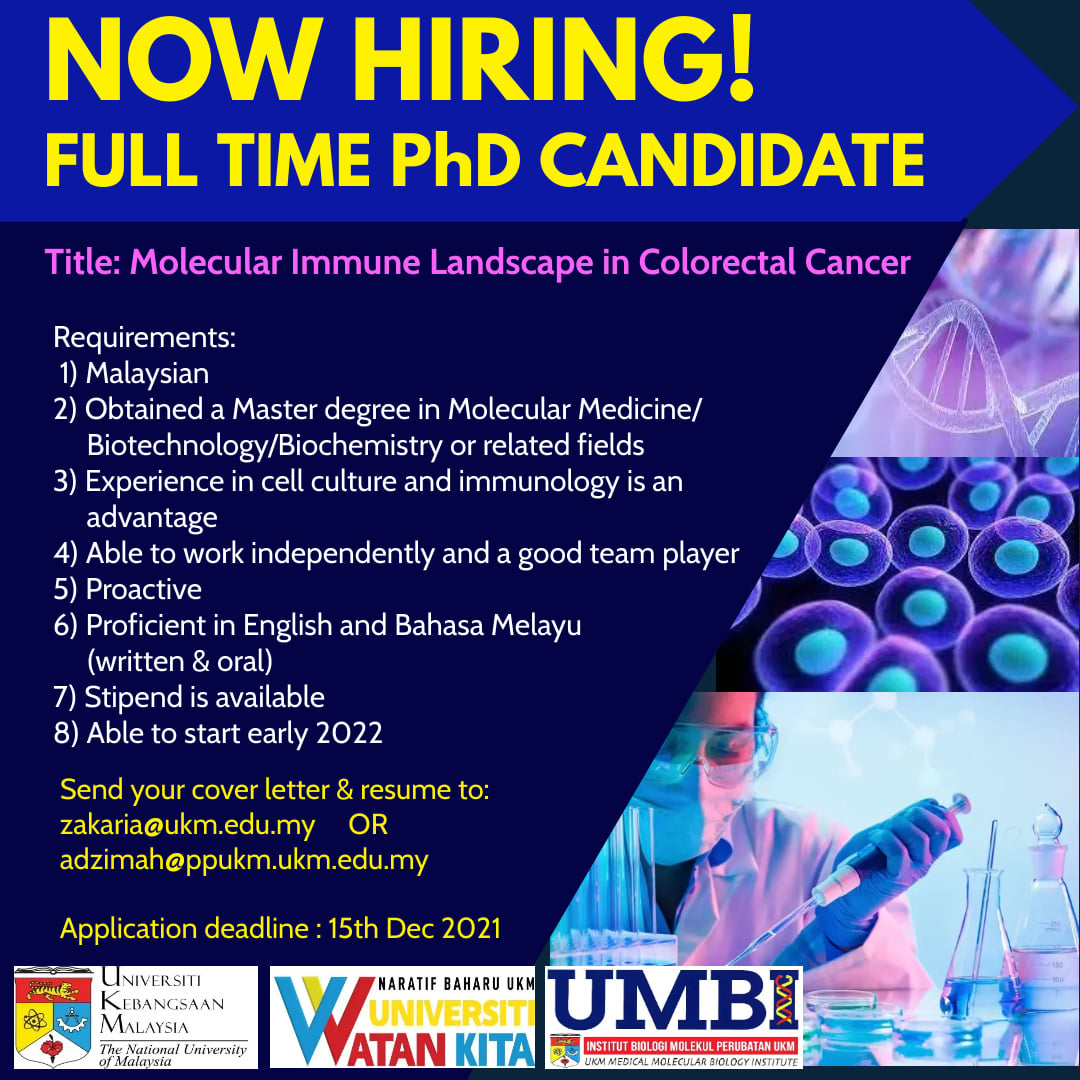 full time phd with full time job