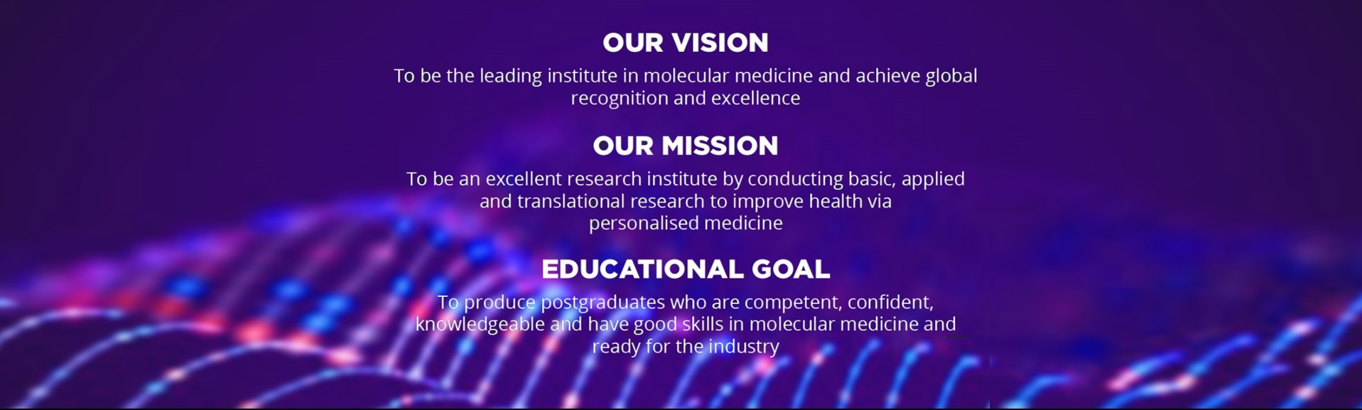 Umbi Vision Mission and Goal
