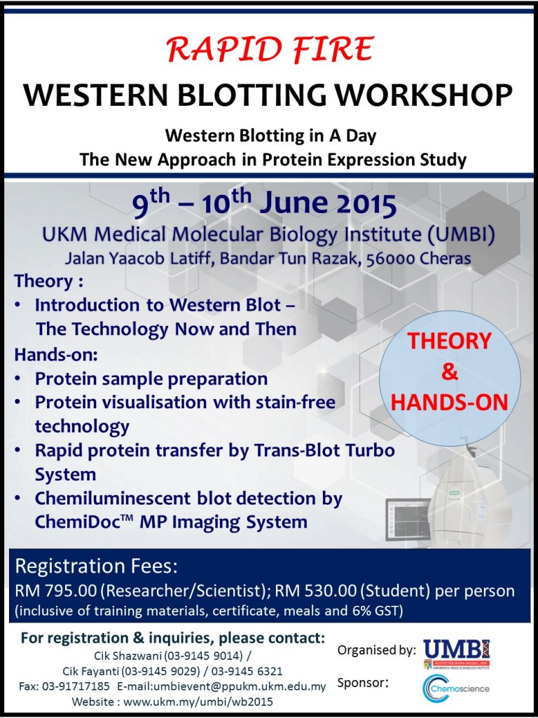 Western Blot Workshop 768x1024 Jpg