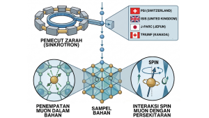 Muon sebagai Mikroskop Kuantum